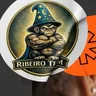 Logo Ribeiro Team